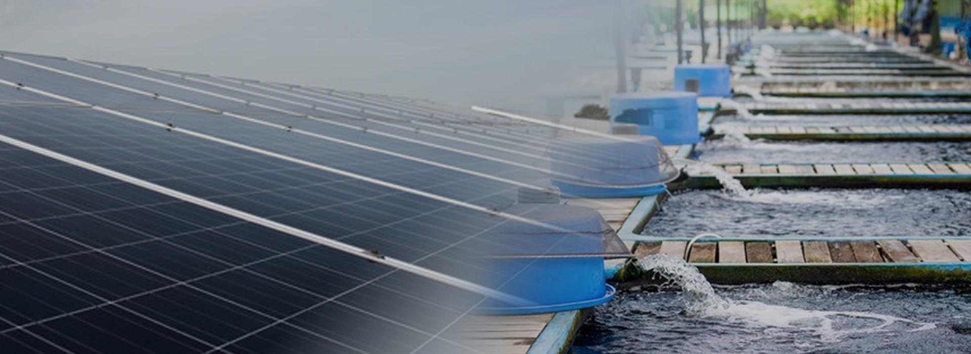 漁電共生資訊平台solaraquaculture
